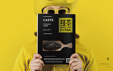 岳阳绯茶品牌设计